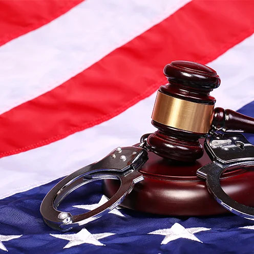 Federal Crimes Image