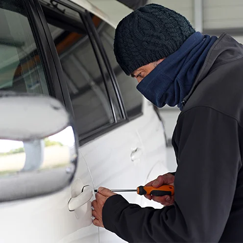 Theft Crimes Image